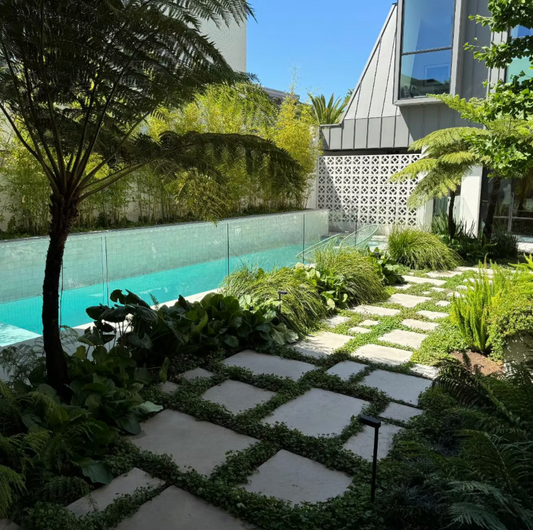 Liquid VS Sheet Membrane